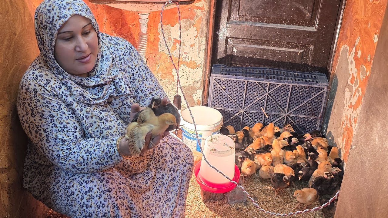 مشروع الاسبوع تعالوا شوفوا مكسبي فى مشروع الاسبوع اللى هيكسبك دهب