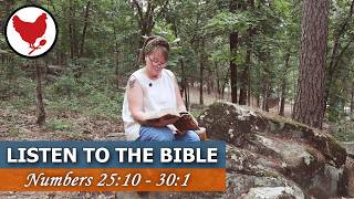 Listening to the Bible | 25:10 - 30:1