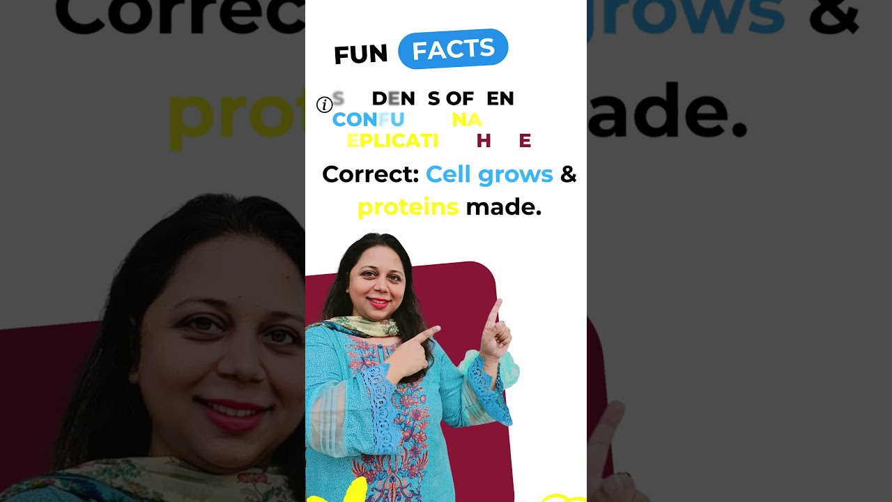 Students mistakes - What happens in G1 phase in mytotic cell cycle