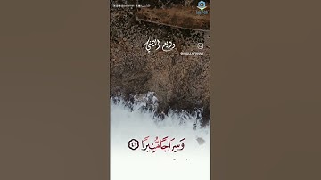 تلاوة حجازية لا مثيل لها ||القارئ وديع اليمني ❤️🎧