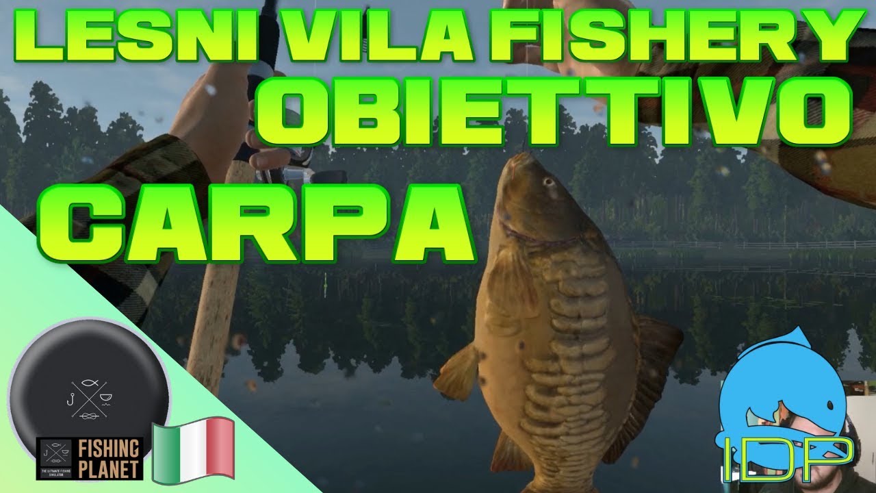 7 Vie NGT Piombi Non Tossici Per Pesca Alla Carpa: Taglie N.1, N.4, N.6, N.8, BB, AAA E SSG - 5