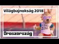 Foci Világbajnokság margójára!