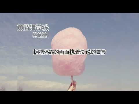 듣기만해도 기분좋은 중국노래🎶 (黄昏海岸线-林怡婕ver)