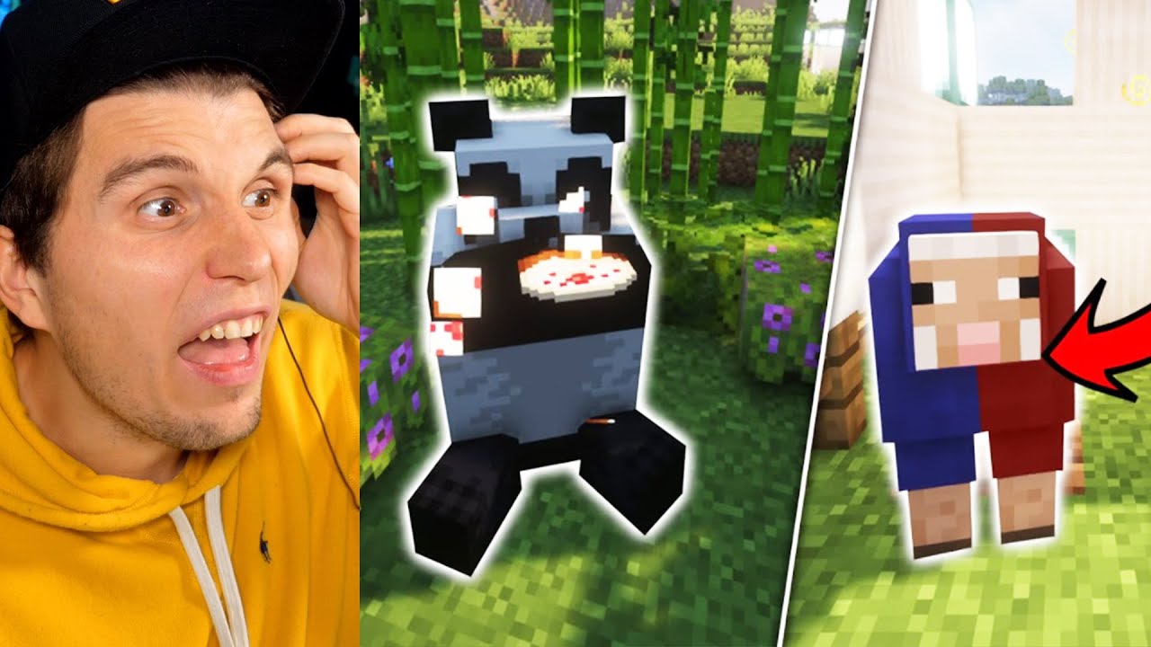 Paluten REAGIERT auf 18 MINECRAFT FAKTEN die DU (wahrscheinlich) noch NICHT KANNTEST!