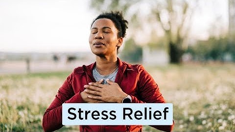 Lunch & Learn: Stress Relief