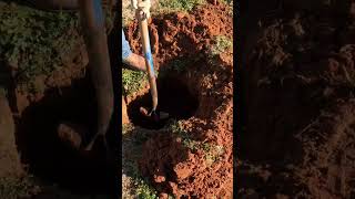 When Do You Need A Pumpout? We Find Out By Digging Up The Tanks And Inspecting The Condition