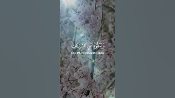 سورة الشورى|الآية 25|قرائة هادئ