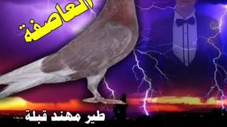 طير مهند قبله  دعوا عامه علئ طير العاصفه