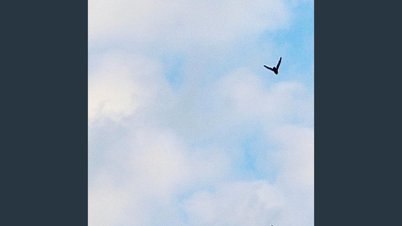 Potari Day I Stopped Waiting