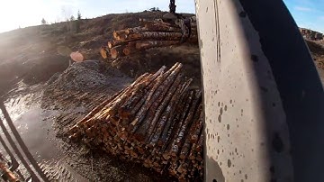 Loading a load of birch pulpwood on a Timbertruck #3