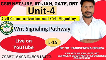 #Wnt Signaling Pathway | Wnt/β-catenin pathway | Cell Communication & Cell Signaling |L -14 |Unit-4