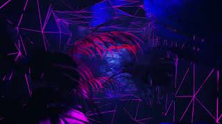 4K Animation. VJ Loop. Purple and blue neon lights in a dark jungle with palm trees. Loop animation