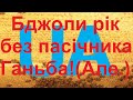 Бджоли рік без пасічника. Фільм - бесіда. "Пасіка діда Євгена".