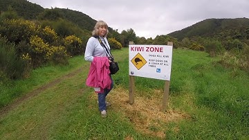 Cache Walks - The Oldest Active Geocache in New Zealand