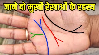 हाथ में दो मुखी रेखा का रहस्य जानें 😯 Do mukhi rekha