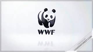 WWF Eco Internship Viral Video Challenge
