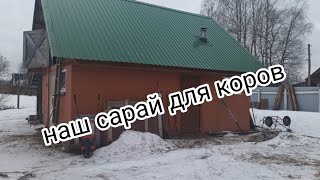 Для Новичков о коровах/Постройка и благоустройство коровника/Чистые коровы/ Обзор сарая!