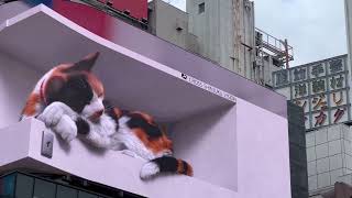 [4k] Giant 3D Cat on Billboard in Shinjuku - Tokyo Japan