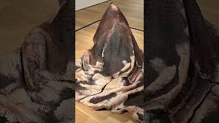 Art & Design Anishinaabe Artist Rebecca Belmore Viviana M. Calderón De La Barca