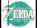ZELDA TEARS OF THE KINGDOM TOTK