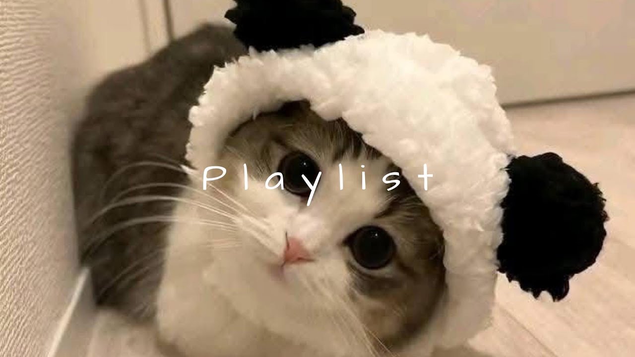 𝐏𝐥𝐚𝐲𝐥𝐢𝐬𝐭 릴스 보다가 노래가 너무 좋아서 찾아온 사람? 🤍 | indie pop · chill R&B