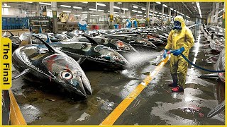 EASY! How Chinese Fishermen Earn 80 Million USD from Catching Giant TUNA | Food Processing Machines