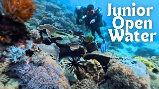 First Fun Dive - PUERTO GALERA, PHILIPPINES