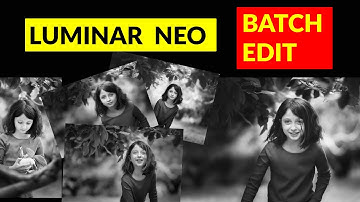 Luminar Neo. Batch editing