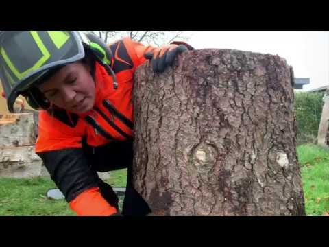 How To Cut Down A Tree With FemaleLumberjack How To Cut Down A Tree With FemaleLumberjack