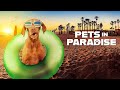 Pets In Paradise | Season 02 | Episode 07 | Bad Reputation