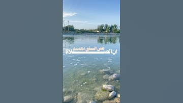 ان الصلاة على النبي محمد كالروح بين الجسم للانسان #تلاوة_خاشعة #الصلاة_على_النبي #قرآن #اكسبلور