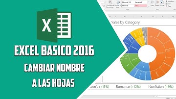 Excel 2016 – Cambiar nombre a las hojas – Video 27
