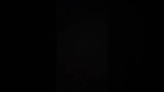 Snowbell Screaming Staci Crying