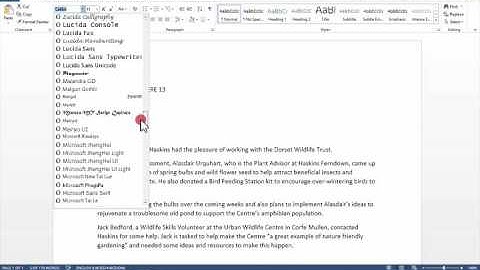 17 Apply Tahoma Font
