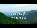 祁门红茶  世界香，群芳最 Keemun Black Tea: The Queen Fragrance of the World— Chinese Tea  Original video clips