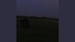 картинка: Реальность