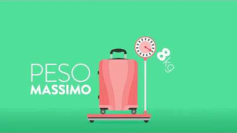 Quanti bagagli si possono portare in aereo Alitalia?