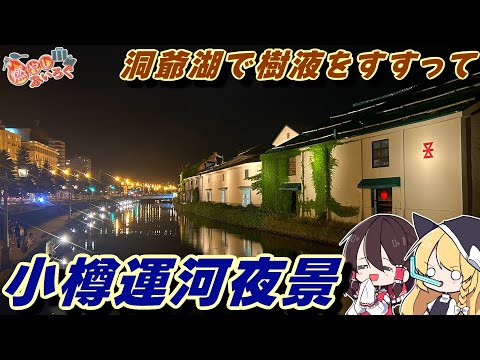 【ゆっくり解説】洞爺湖で白樺の樹液を飲んで夜の小樽運河へ【旅動画】