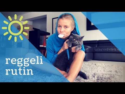 Videó: Arthritis kiskutyákban