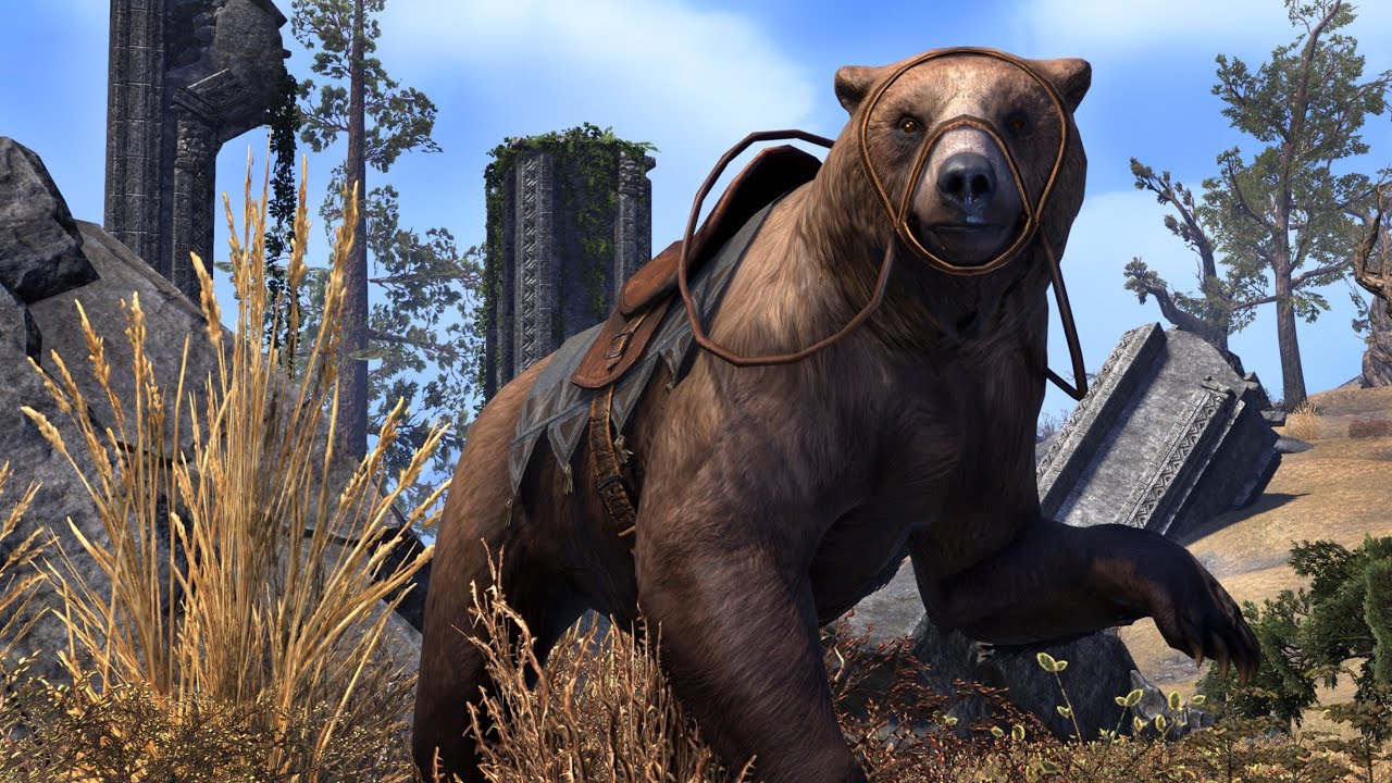 Welcome to Orsinium! (PEGI)