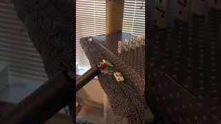 IMG 1766