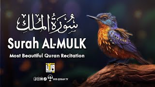 World's Most Beautiful Recitation of Surah MULK (The Kingdom) سورة الملك | OUR QURAN TV