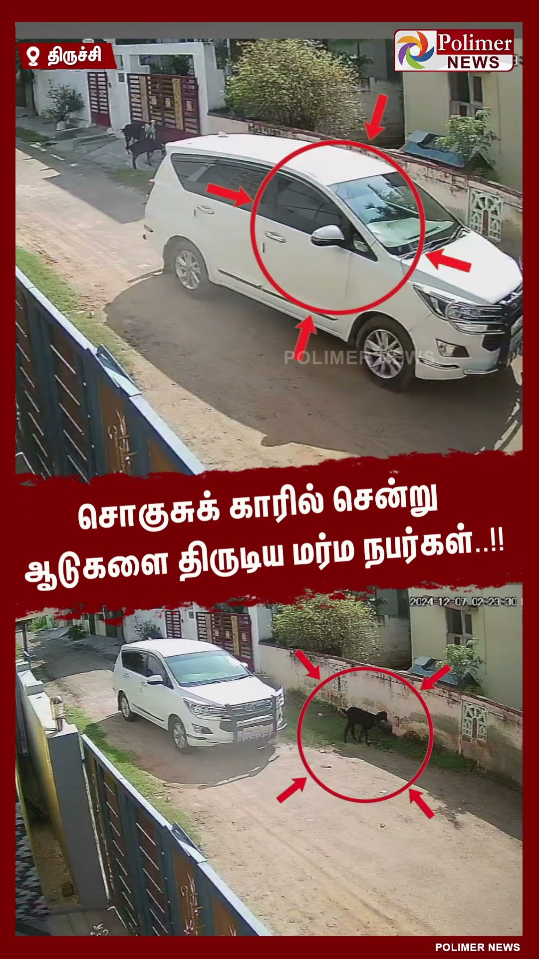 சொகுசுக் காரில் சென்று ஆடுகளை திருடிய மர்ம நபர்கள்..!!  #shorts