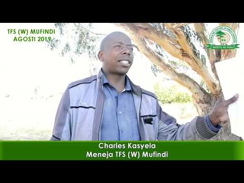 Video: Jinsi Ya Kujiandaa Kwa Kuongezeka Kwenye Misitu