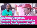 Hafuura Goototaa Amaan Nyafaroo Walaloo Haaraa Haala Yeroo Irratti Hafuura Goototaa Amaan Nyafaroo Walaloo Haaraa Haala Yeroo Irratti