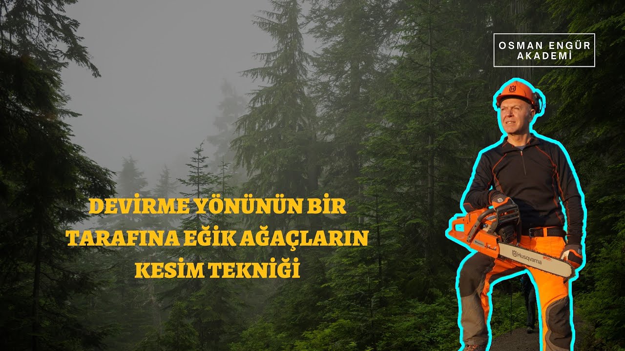 Devirme Yönünün Bir Tarafına Eğik Ağaçların Kesim Tekniği