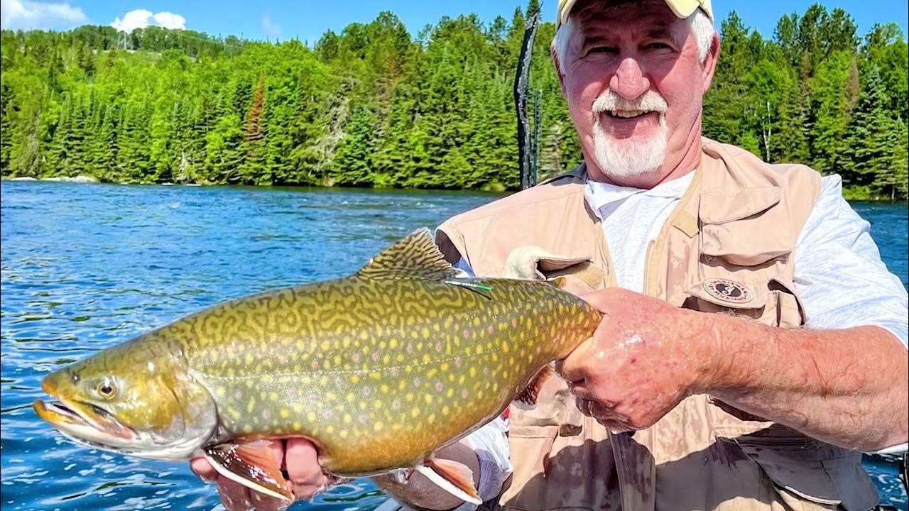 Giant Brook Trout of the Nipigon River YouTube
