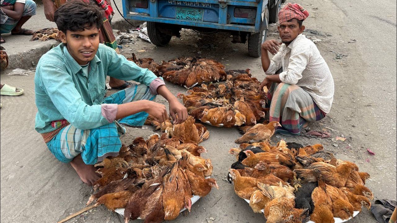 Самый Ужасный рынок в Мире! Бангладеш: сюда не хотят ехать  Туристы!