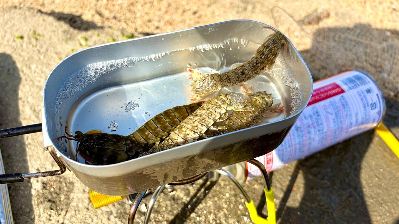 それ食えるの？干潟の謎の甲殻生物を捕って海水茹で現地食い！