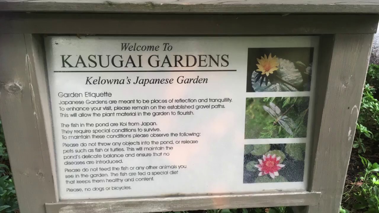Kasugai Gardens in Kelowna, BC (CA) YouTube